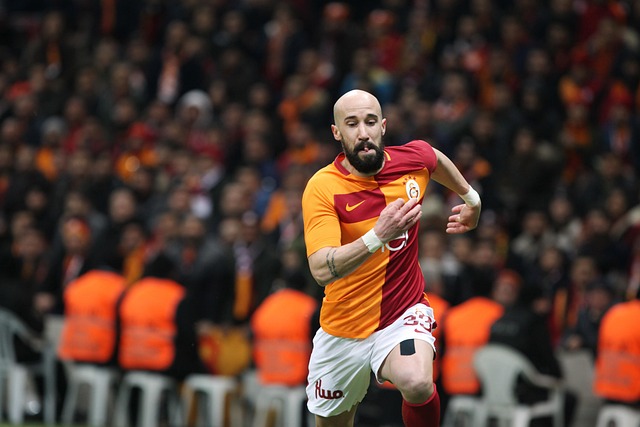 斯图加特期 斯图加特期